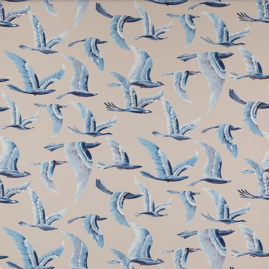Manuel Canovas